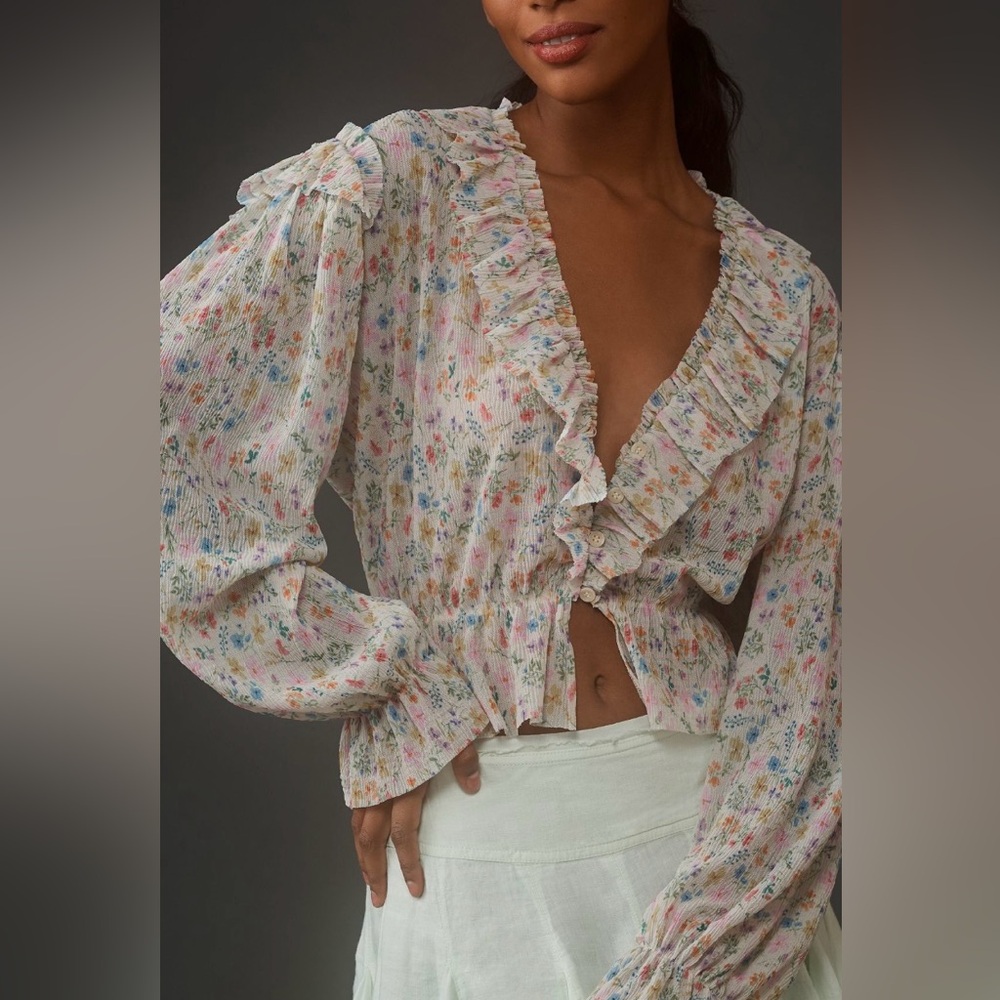 Anthropologie Long-Sleeve Mesh Ruffle Blouse Large